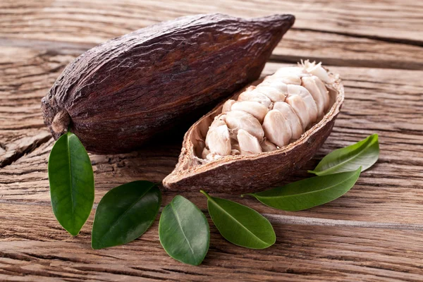 Vaina de cacao — Foto de Stock