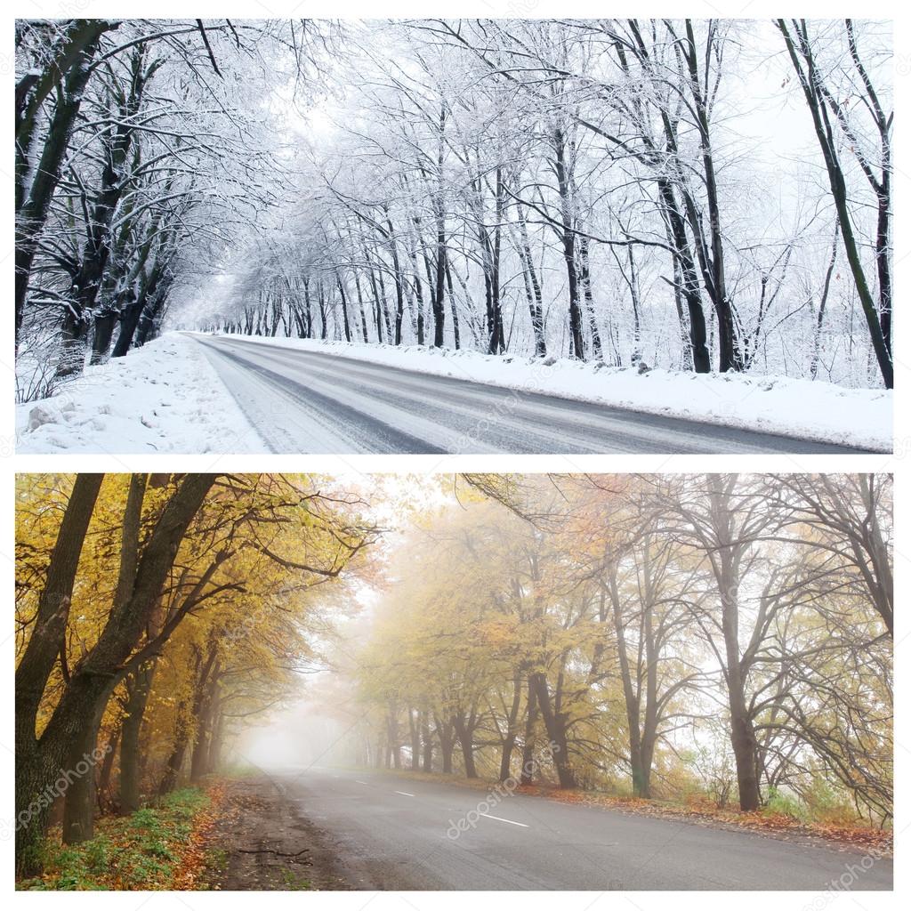 Winter and Autumn panorama of the forest road.
