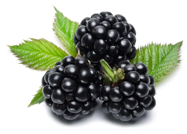 Blackberries — Stock Photo, Image