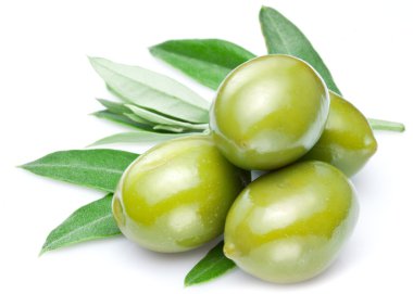 yapraklar yeşil zeytin.