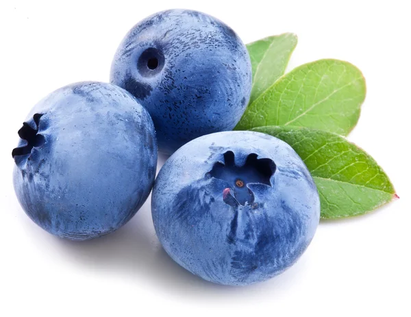 Blaubeeren mit Blättern auf weißem Hintergrund. — Stockfoto