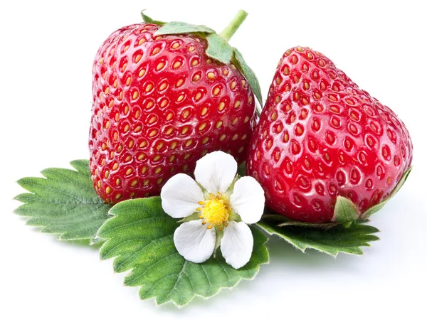 Strawberries with leaves isolated on a white. — Stock Photo, Image