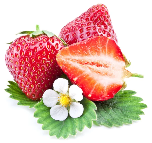 Fresas con hojas y flores aisladas sobre un blanco . — Foto de Stock