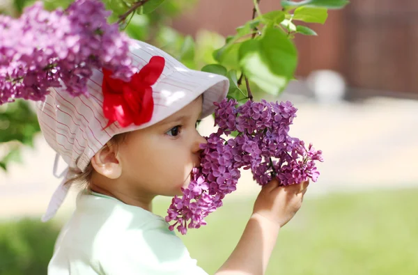 Baby girl sniffing lilac. Stock Image