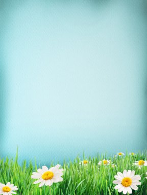 mavi su renk kağıt çim ve çiçek üstünde o.