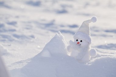 kar burnuna havuç ile küçük kardan adam.