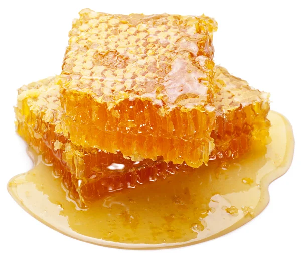 Peine de abeja — Foto de Stock