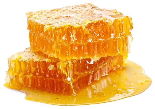 Bienenwaben — Stockfoto