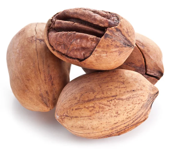 Pecan nuts. — Stock Photo, Image
