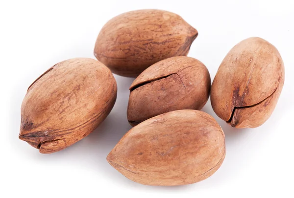 Pecan nuts. — Stock Photo, Image