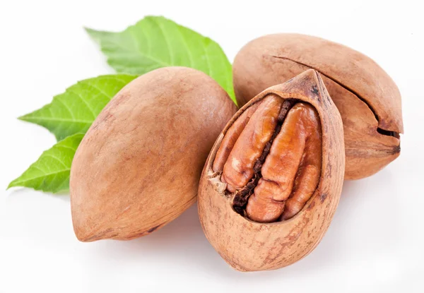 Pecan nuts with leaves. — Stock Photo, Image