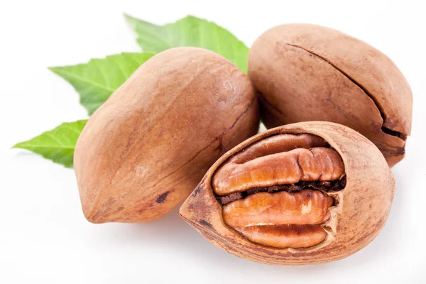Pecan nuts with leaves. — Stock Photo, Image