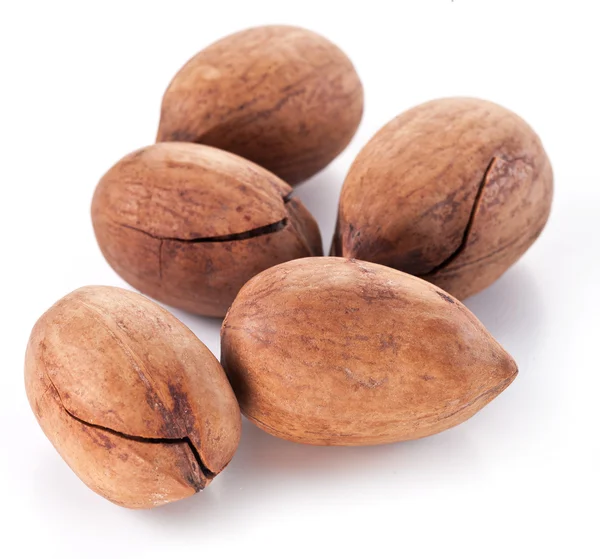 Pecan nuts. — Stock Photo, Image