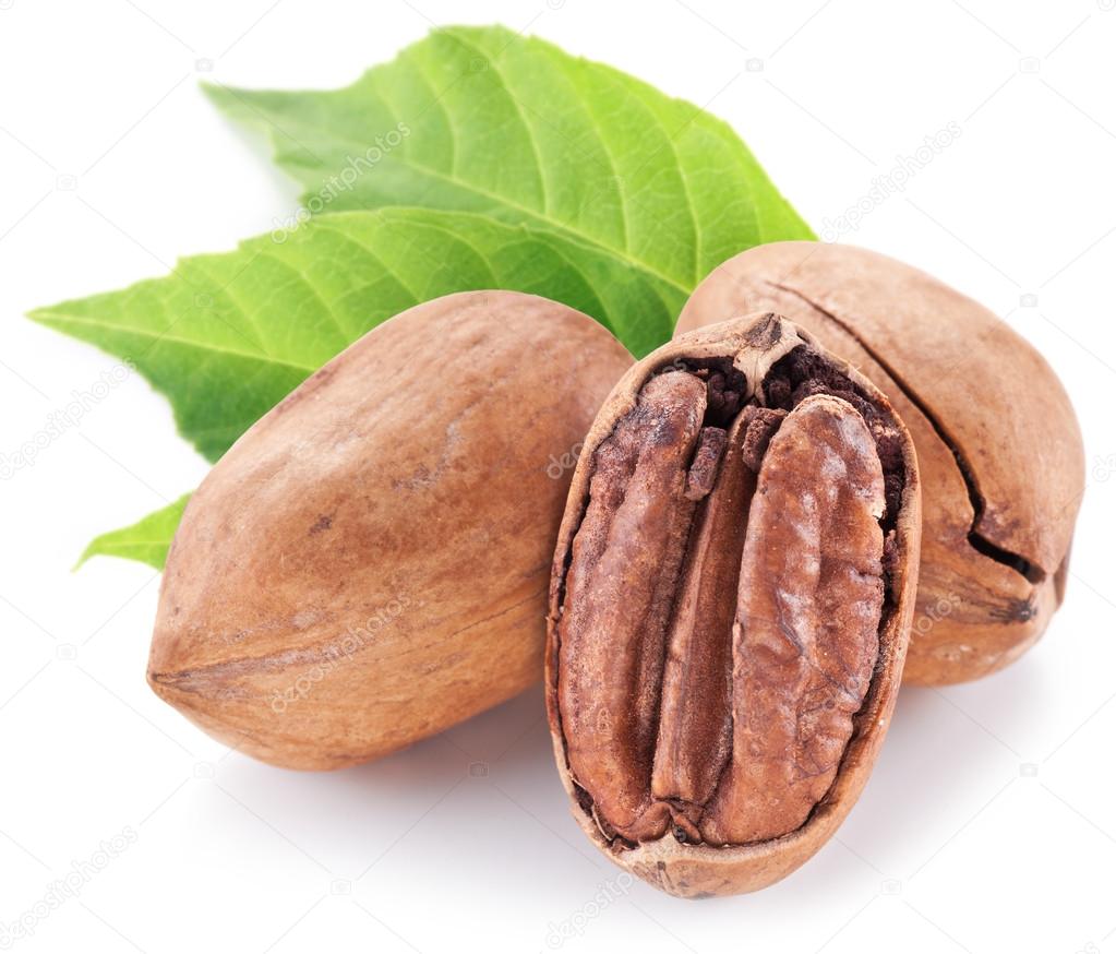 Pecan nuts with leaves.