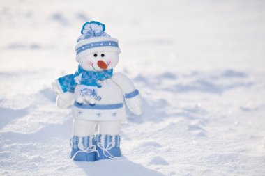 kar burnuna havuç ile küçük kardan adam.