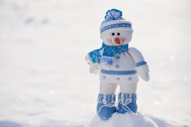 kar burnuna havuç ile küçük kardan adam.