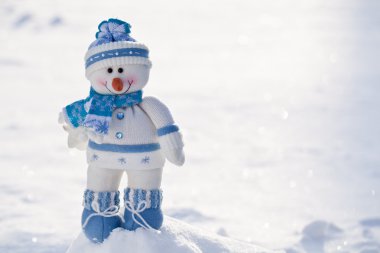 kar burnuna havuç ile küçük kardan adam.