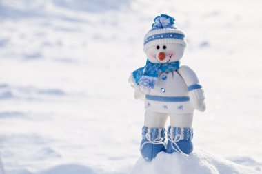 kar burnuna havuç ile küçük kardan adam.