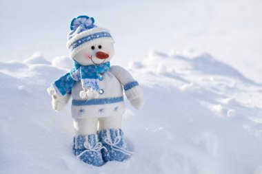 kar burnuna havuç ile küçük kardan adam.