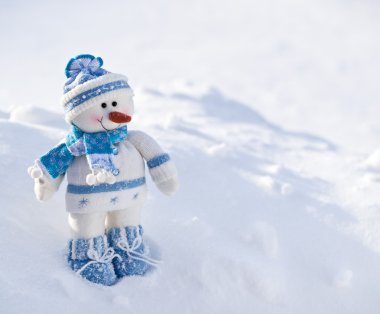 kar burnuna havuç ile küçük kardan adam.