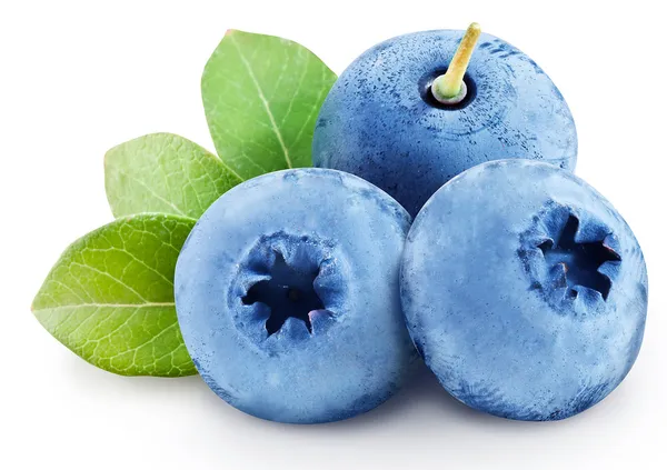 Blueberries with leaves. File contains clipping paths. — Stock Photo, Image