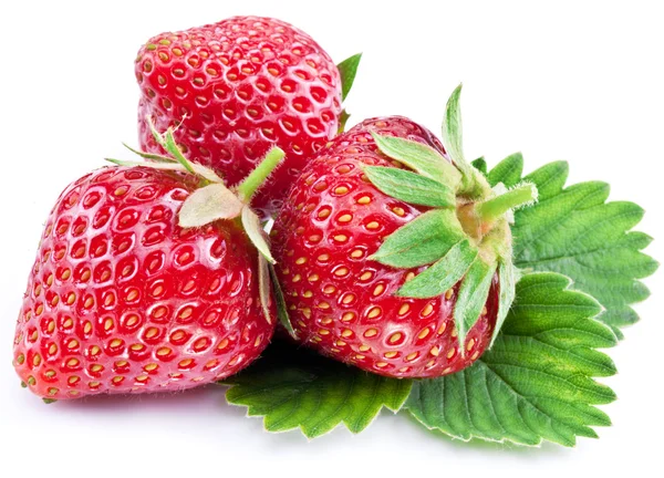 Erdbeeren mit Blättern isoliert auf einem weißen. — Stockfoto