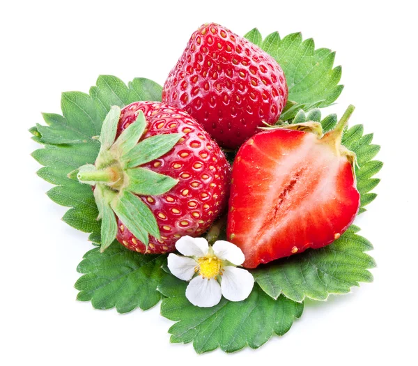 孤立在一张白纸的一个丰富草莓果实. — 图库照片