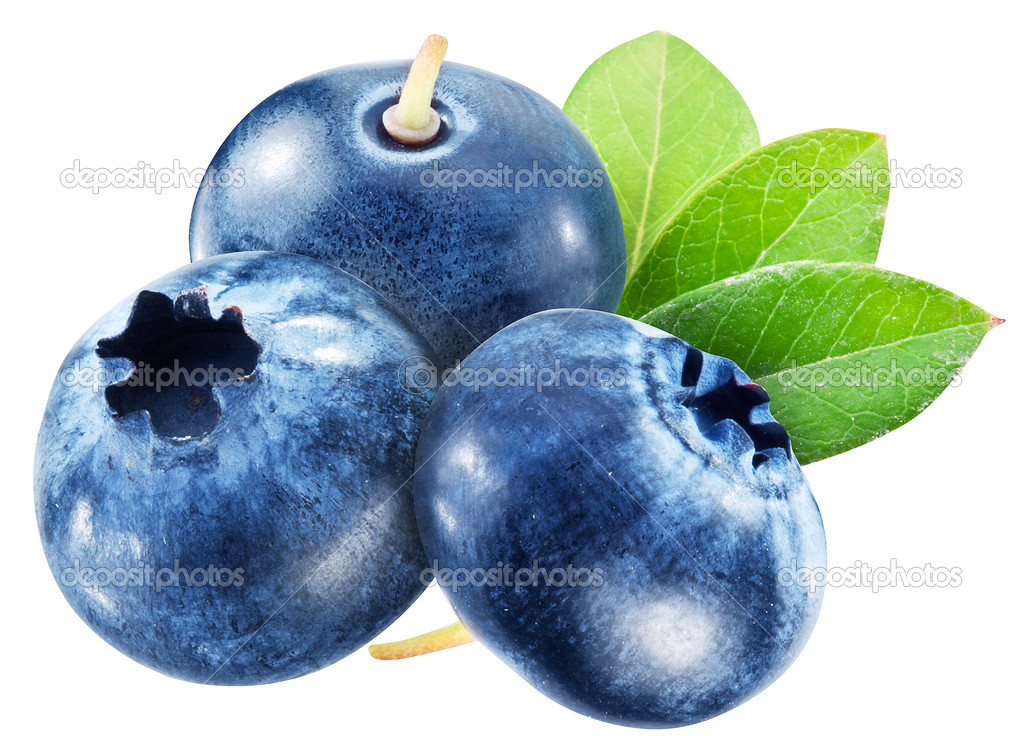 Blueberries with leaves. File contains clipping paths.