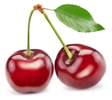 Two perfect sweet cherries with the leaf. clipart