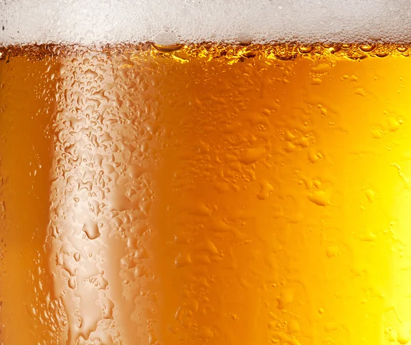 damla ve köpüklü bira