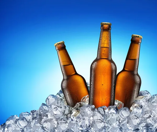 Butelki zimnego piwa. — Zdjęcie stockowe