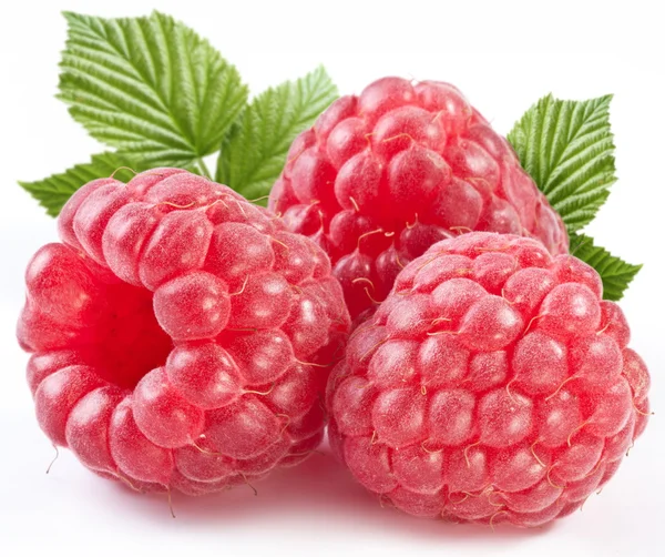 Drei perfekt reife Himbeeren mit Blättern. — Stockfoto