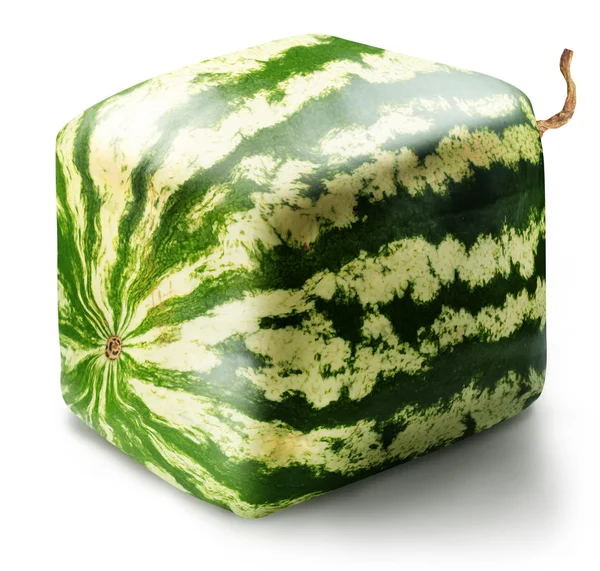 Cubic watermelon — Stock Photo, Image