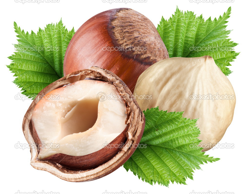 Group of filberts with leaves. Stock Photo by ©Valentyn_Volkov 36114217