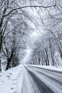 Country snow road. clipart