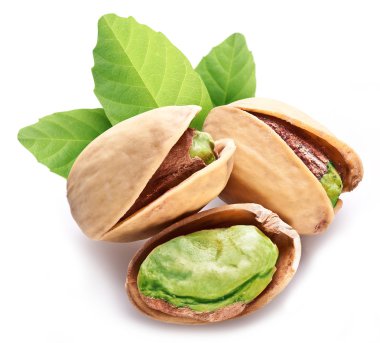 yaprakları ile Antep fıstığı.