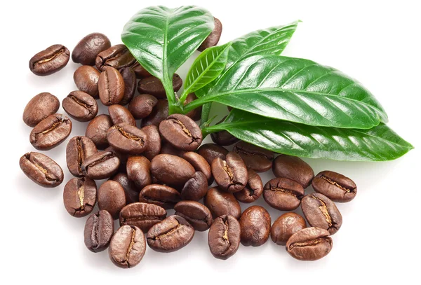 Roasted coffee beans and leaves. — Stock Photo, Image