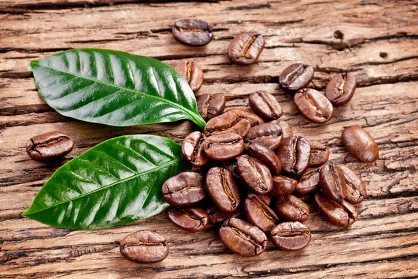 Rostade kaffebönor och blad. — Stockfoto