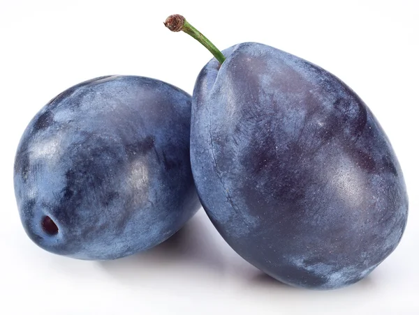 Photo of two plums. — Stock Photo, Image