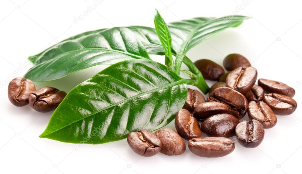 Roasted coffee beans and leaves. — Stock Photo © Valentyn_Volkov 37091737