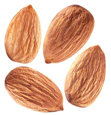 badem izole yaprakları ile.