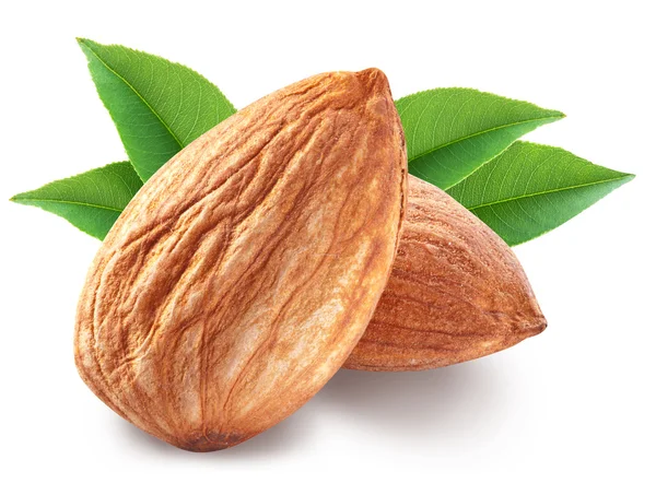 Almonds with leaves isolated. — Stock Photo, Image