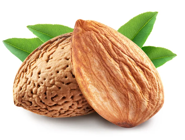 Almonds with leaves isolated. — Stock Photo, Image