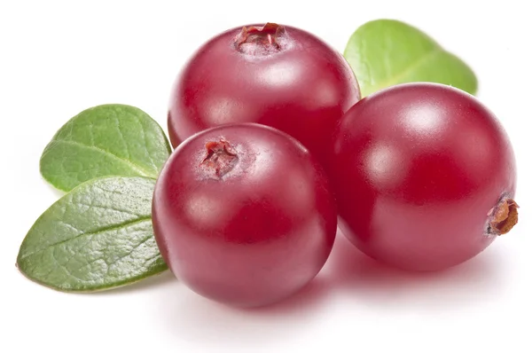 Cranberries with leaves. — Stock Photo, Image