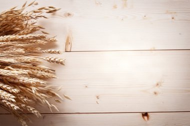 kulak buğday eski ahşap tablo.