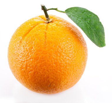 turuncu yaprak beyaz zemin üzerine.