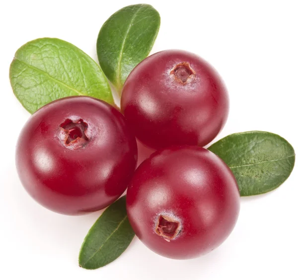 Kızılcık yaprakları ile.