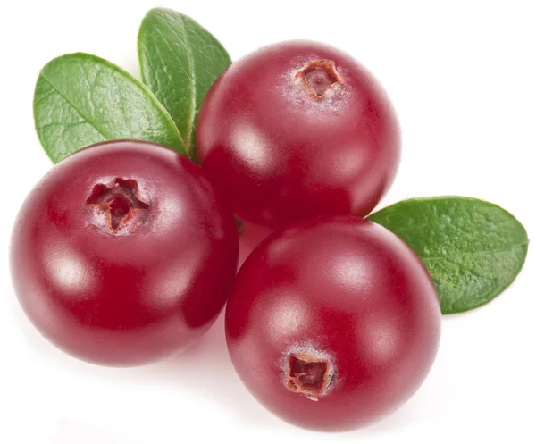 Cranberries with leaves. — Stock Photo, Image