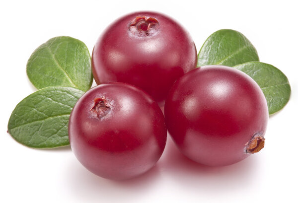 Cranberries with leaves.