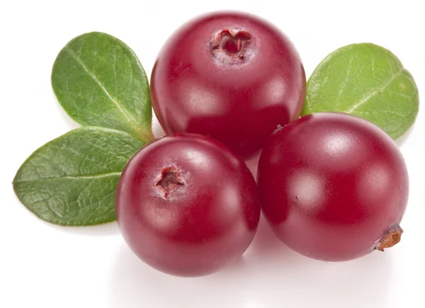 Cranberries with leaves. — Stock Photo, Image